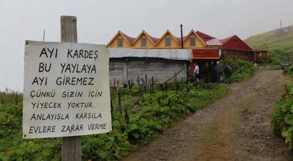 RİZELİLERDEN AYILARA YAZILI UYARI