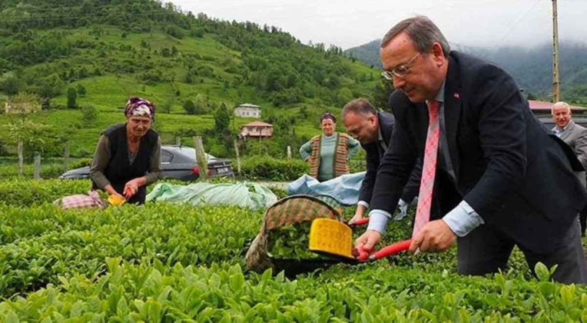 ÜRETİCİMİZ RAHAT OLSUN. 3.SÜRGÜN BAŞLADI