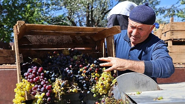 Büyükşehir’den üzüm üreticilerine makine desteği