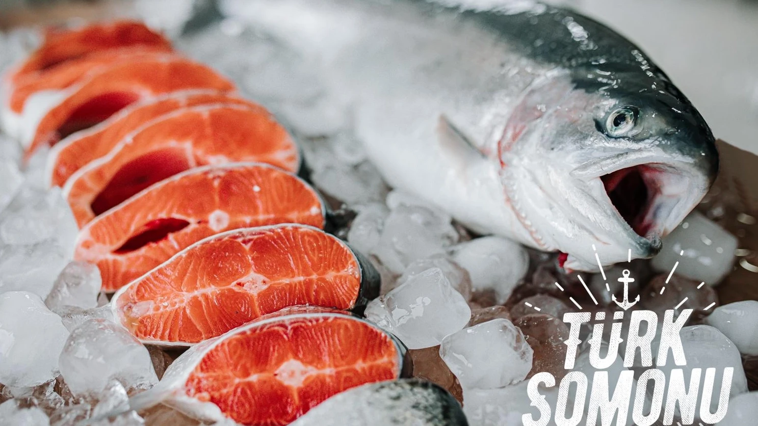 Su ürünleri sektörü Future Fish Eurasia’da Buluşuyor