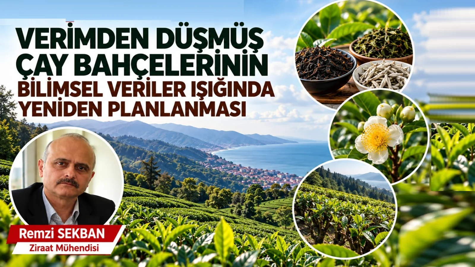 Verimden Düşmüş  Çay Bahçelerinin Bilimsel Veriler Işığında Yeniden Planlanması