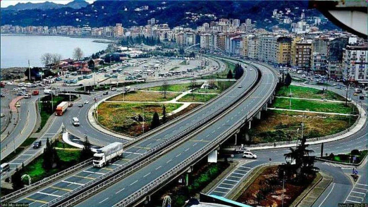 Rize'de Bitmeyen Tartışma...  Dal-Çık Bilmecesi