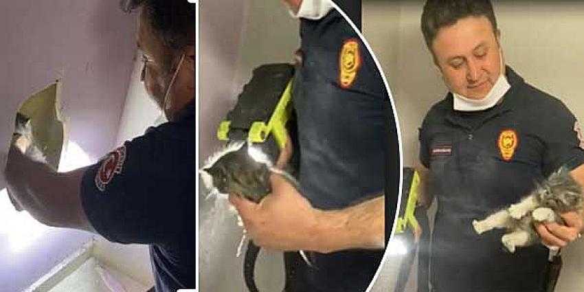 Günün en güzel haberi Kocaeli'den geldi