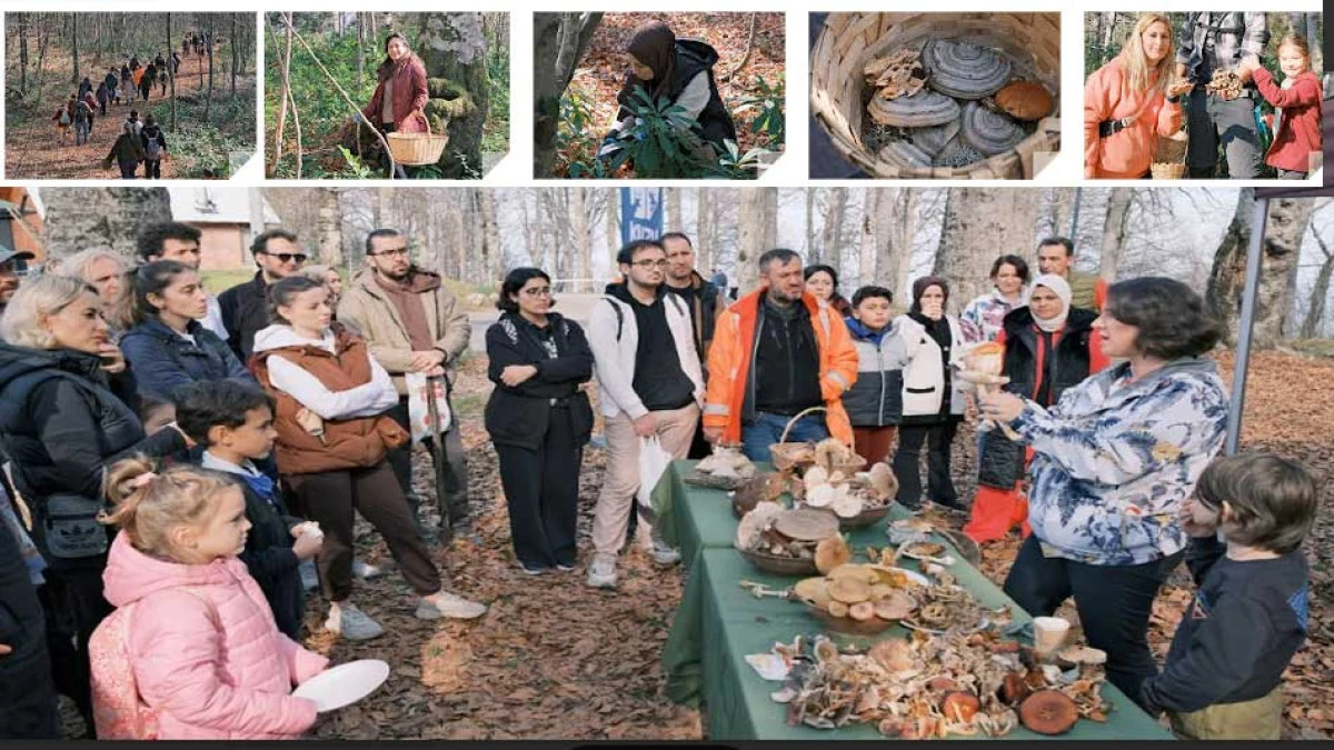 Kuzuyayla’da mantar avına çıktılar