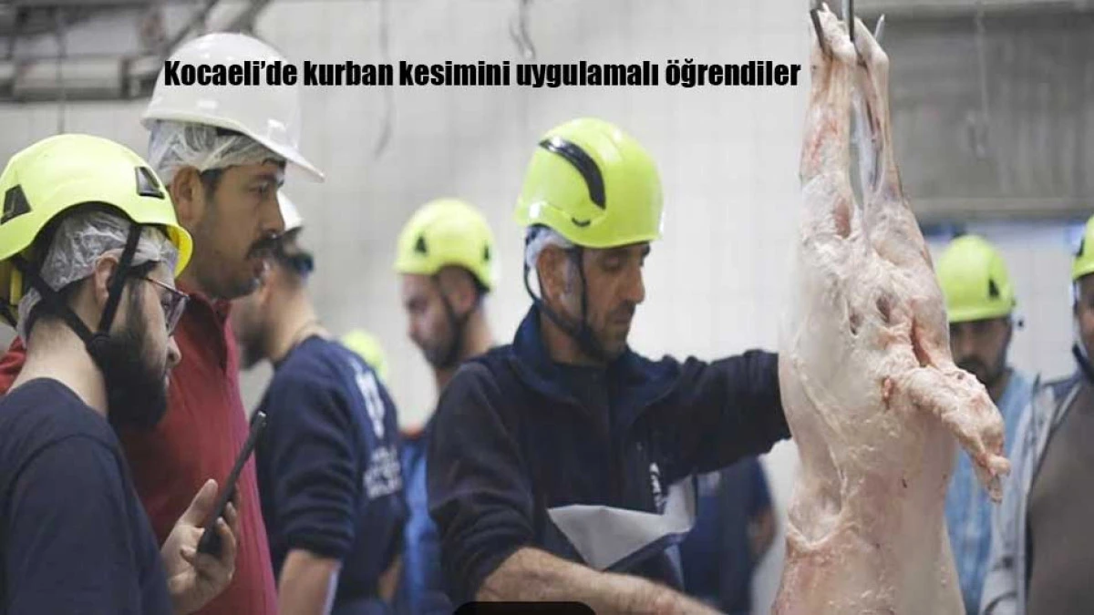 Kocaeli’de kurban kesimini uygulamalı öğrendiler