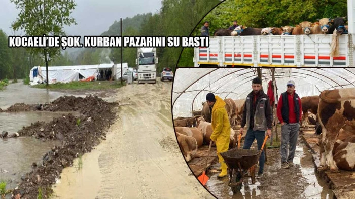 Kurban pazarını su bastı. Perişan oldular