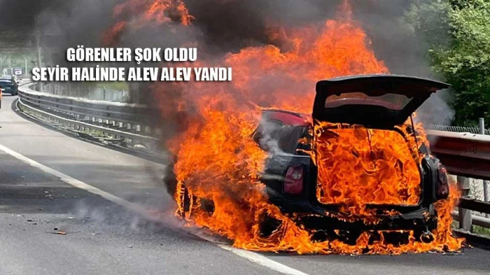 Seyir halindeki otomobil alev alev yandı