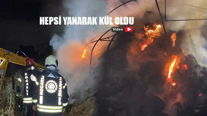 İzmit'teki yangında hepsi küle döndü