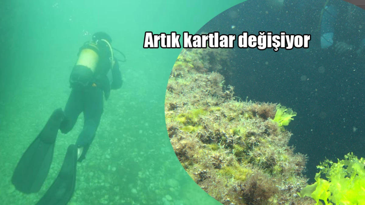 Doğa harikası Kerpe'de dalış sezonu başladı