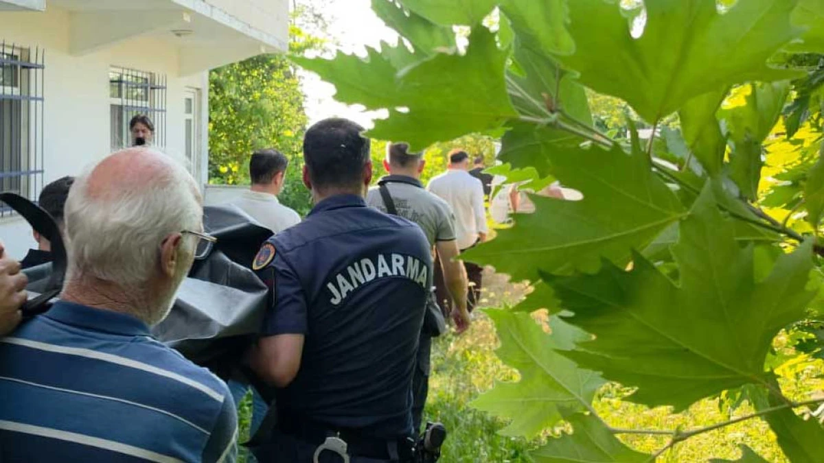  Ihlamur toplamak için çıktığı ağaçtan düşerek hayatını kaybetti