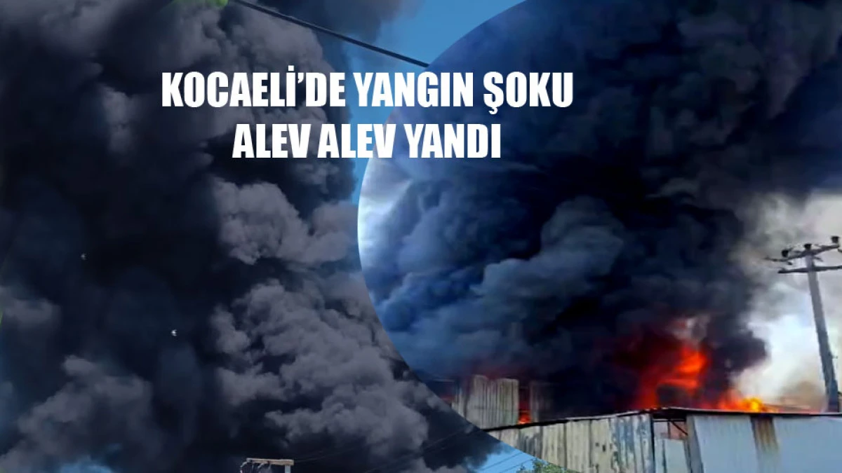 Kocaeli'de yangın şoku. Alevlere teslim oldu