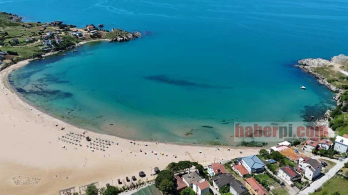 Kocaeli sahilleriyle ilgili önemli uyarı