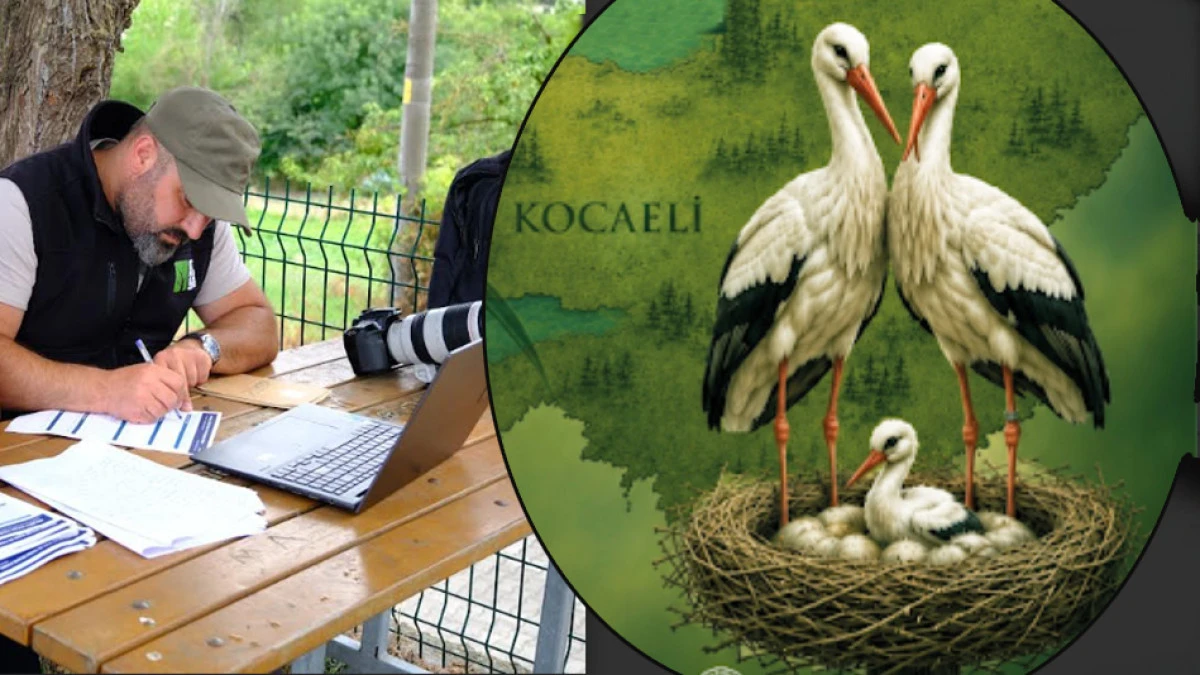Kocaeli Leylek Atlası Projesi başladı