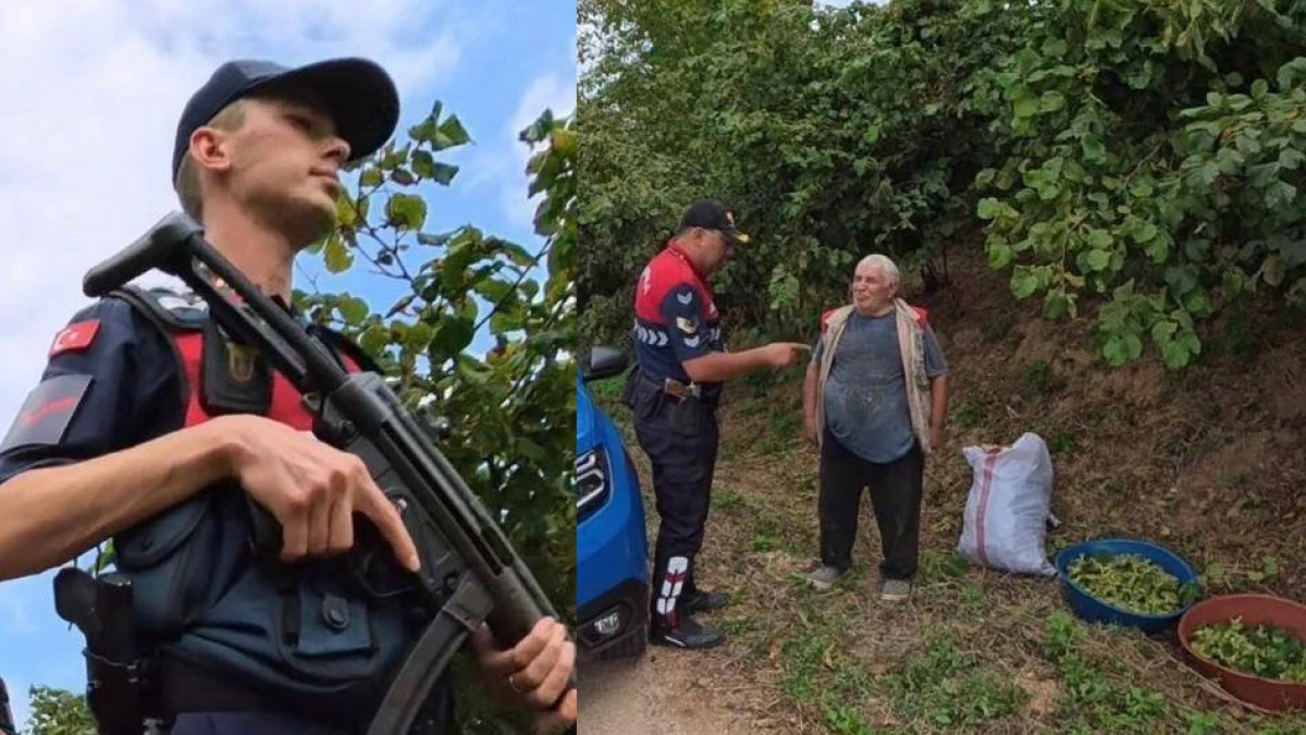 Kocaeli Jandarma Komutanlığı fındık tarlaları için harekete geçti