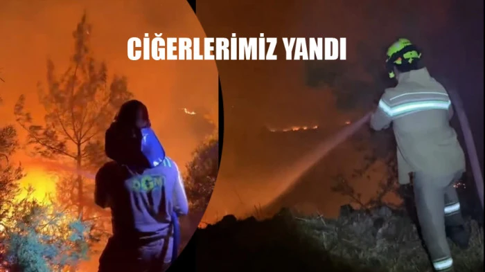 Orman Genel Müdürlüğü son durumu açıkladı