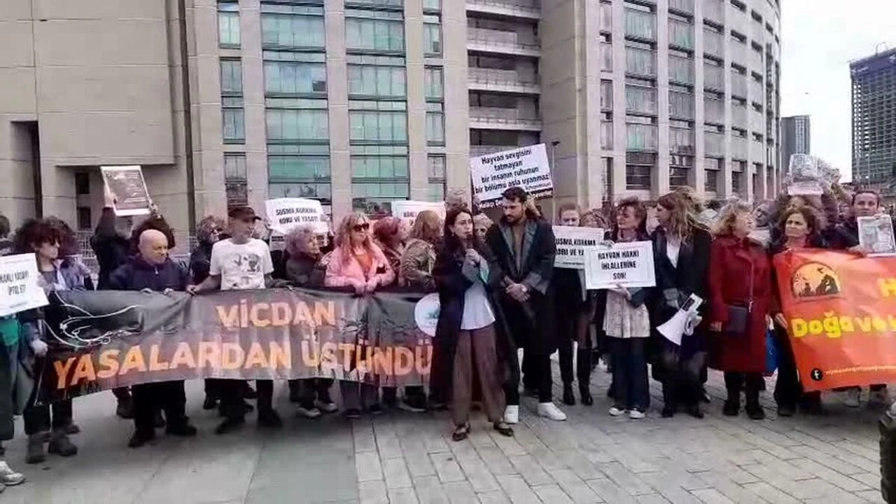 İzmir'de 4 Ekim'de Alsancak'ta hayvan hakları eylemi