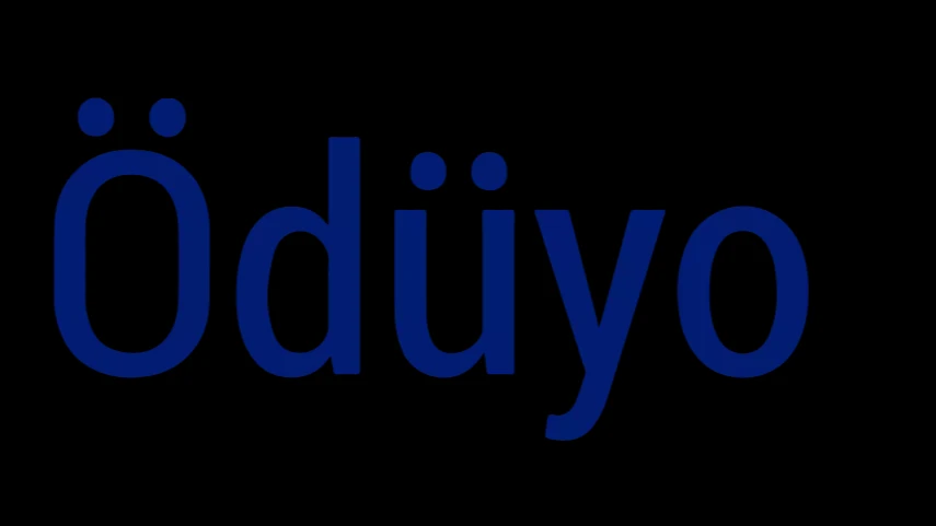 QNB Grubu İştiraki Ödüyo, Deloitte Teknoloji Fast 50 Türkiye 2026’da Türkiye’nin Hızlı Büyüyen Teknoloji Şirketleri Arasında