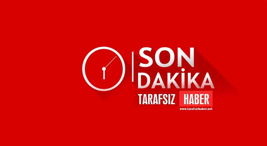 Koca, Vaka artışı 40 katına çıktı !
