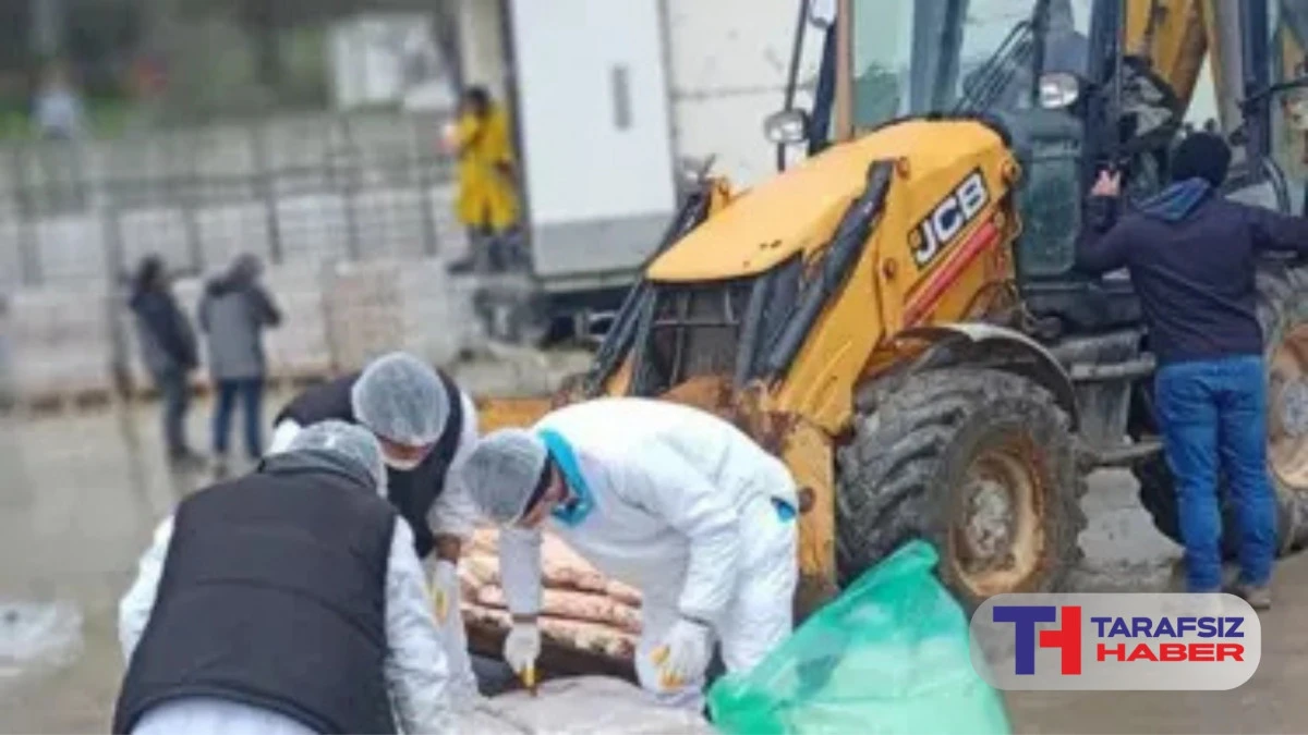 Sakarya'da son tüketim tarihi geçmiş 32 ton tavuk eti ele geçirildi